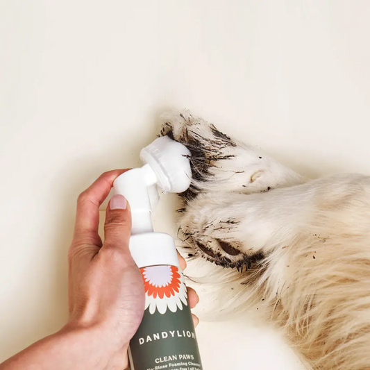 Dandylion Clean Paws No-Rinse Foaming Cleanser