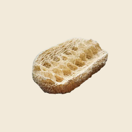 Loofah Dishwashing Sponge