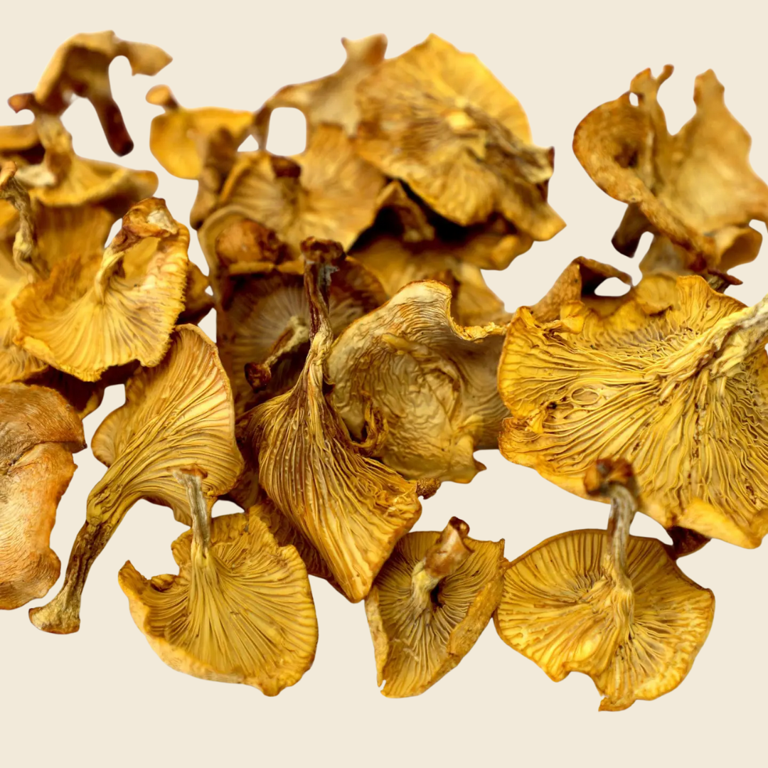 Dried Chantrelle Mushrooms