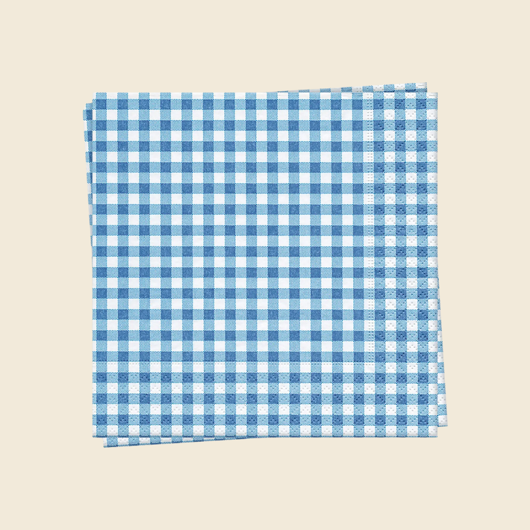 Blue Gingham Luncheon Napkins