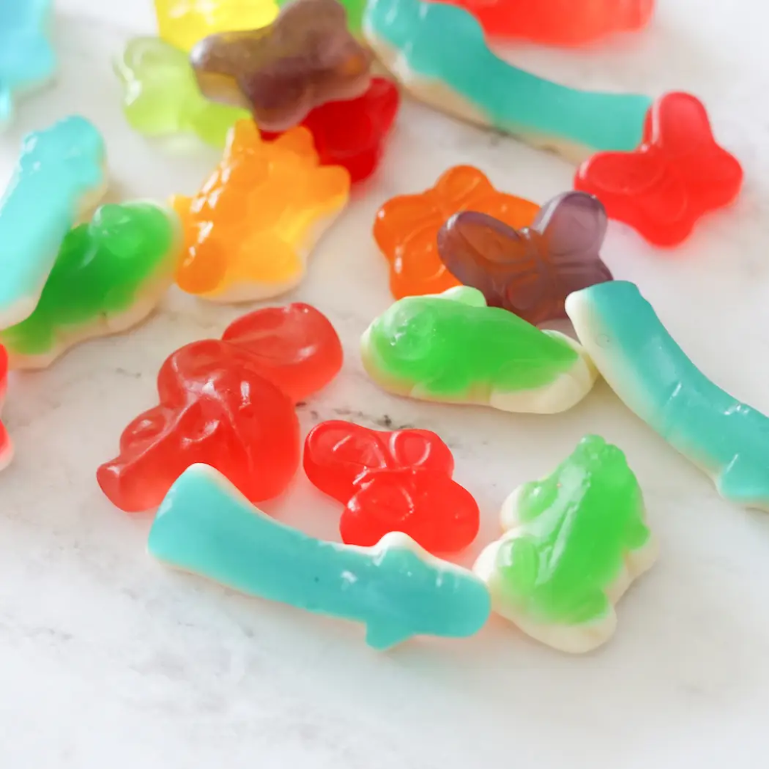 Colourful Animals Gummy Candies