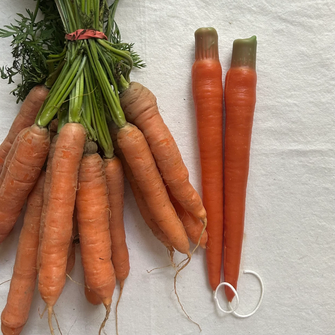 Carrot Beeswax Tapers