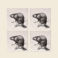 Vintage Beaver Coasters (Set of 4)