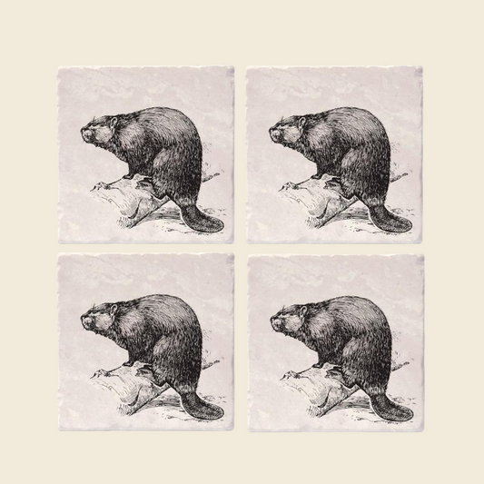 Vintage Beaver Coasters (Set of 4)