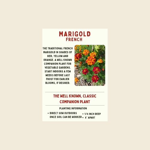 French Marigold Seeds