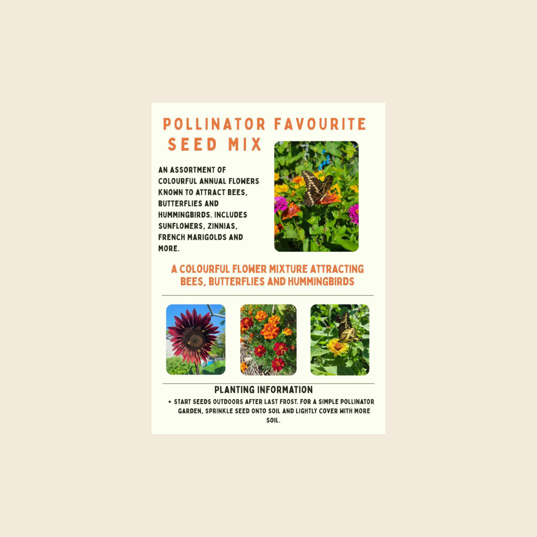 Pollinator Seed Mix