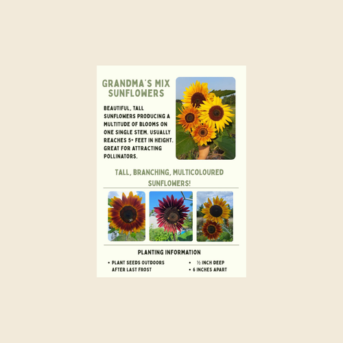Grandma's Sunflower Seeds