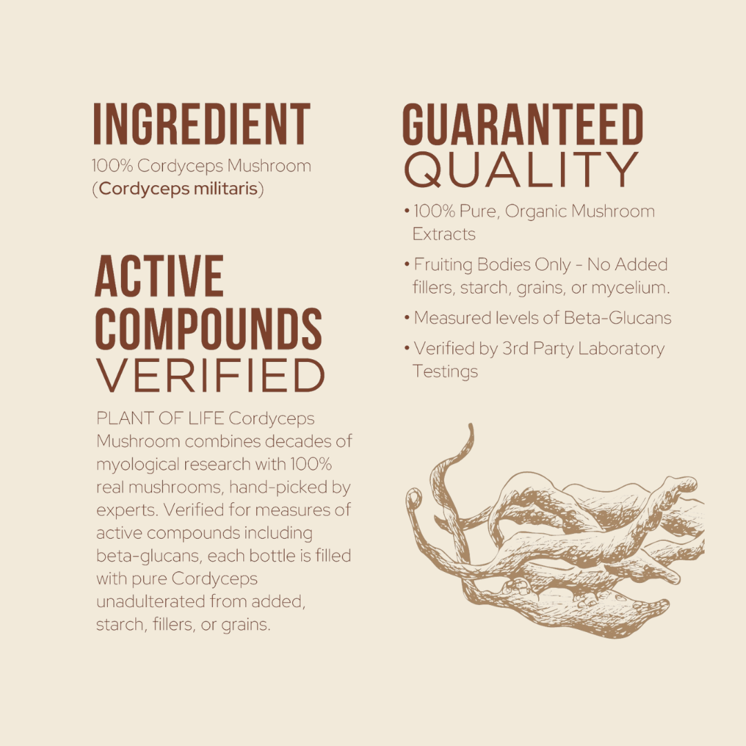 Cordyceps Mushroom Capsules