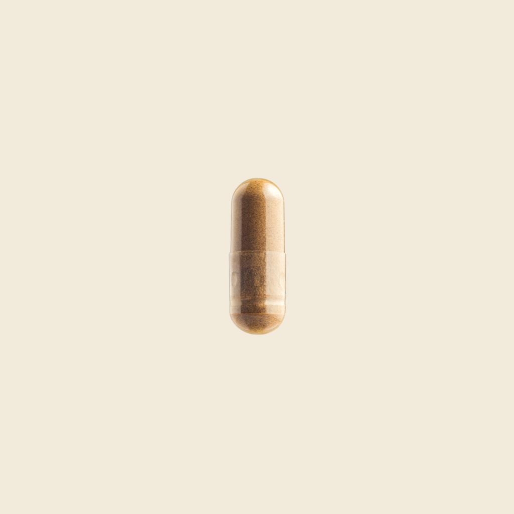 Cordyceps Mushroom Capsules
