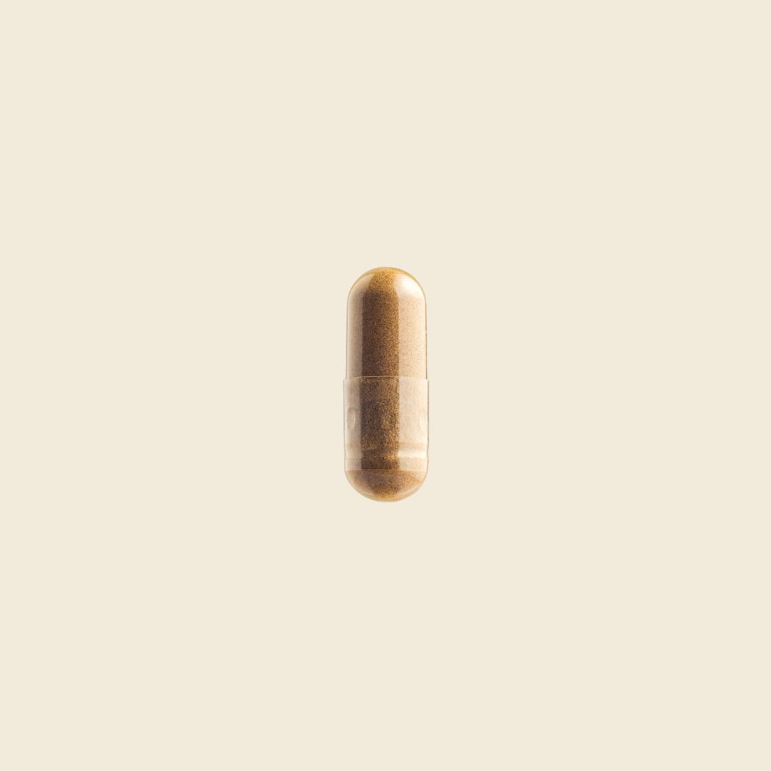 Cordyceps Mushroom Capsules