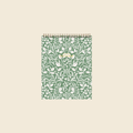 Meadowlace Sketchpad