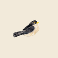Bird Hair Claw Clip