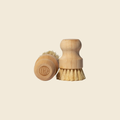 Guests on Earth Monogram Dish Brush