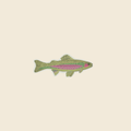 Trout Magnet