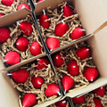 Strawberry Birthday Candles (x10)