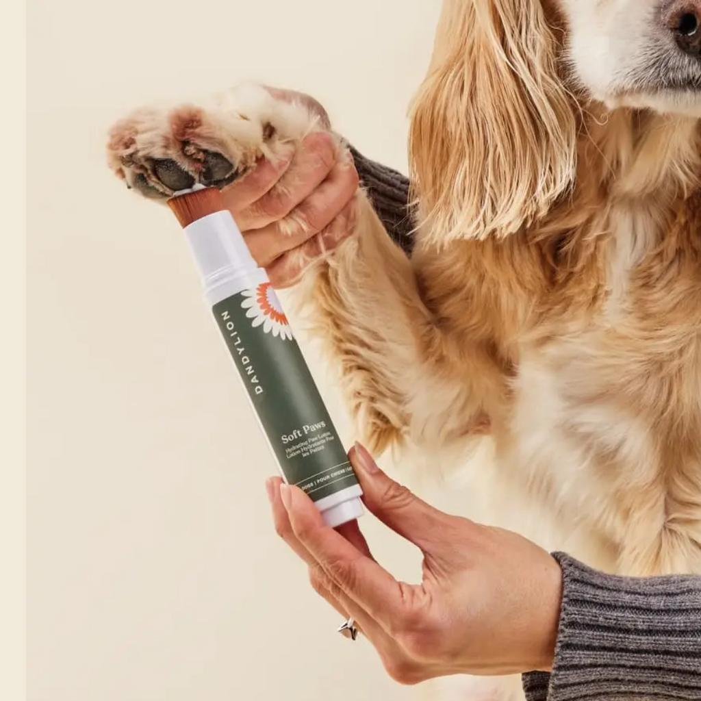Pet Hydrating Paw Lotion