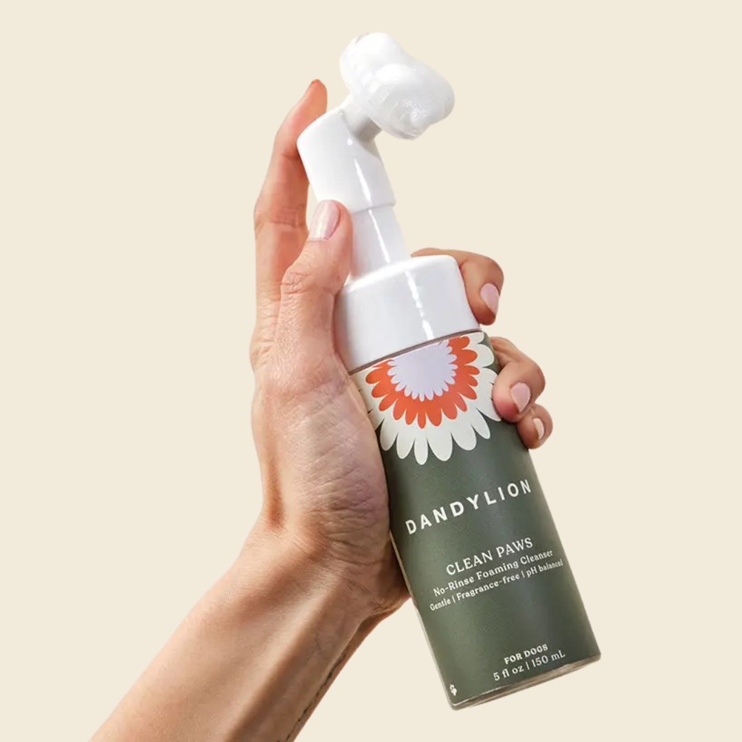 Dandylion Clean Paws No-Rinse Foaming Cleanser