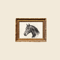Stallion Sketch with Gold Mould Frame