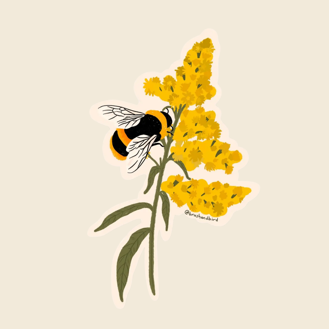 Bumblebee On Goldenrod Sticker