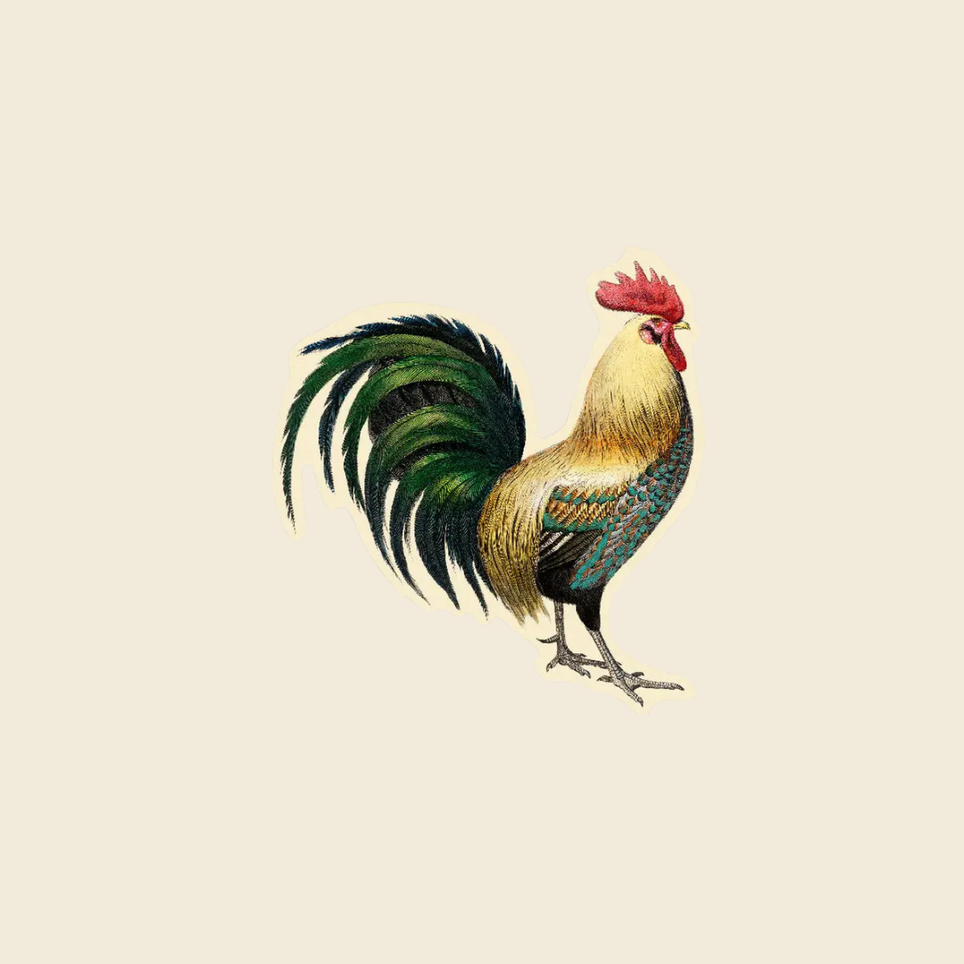 Rooster Sticker