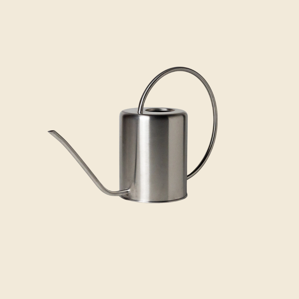 Stainless Steel Watering Can