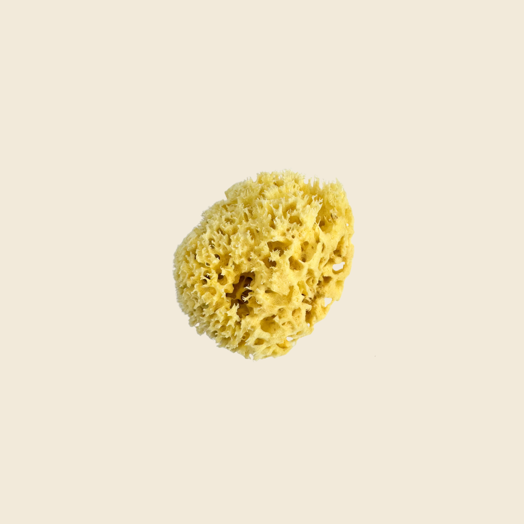 Organic Natural Sea Sponge