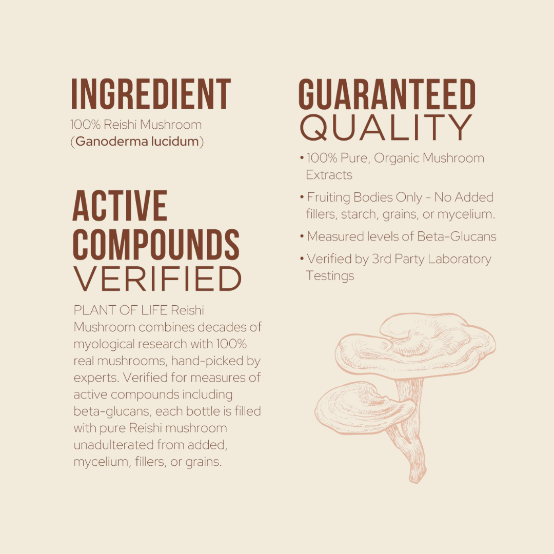 Reishi Mushroom Capsules