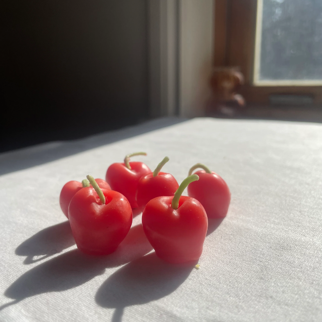 Red Cherries Beeswax Candle Box