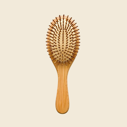 Biodegradable Bamboo Hair Brush