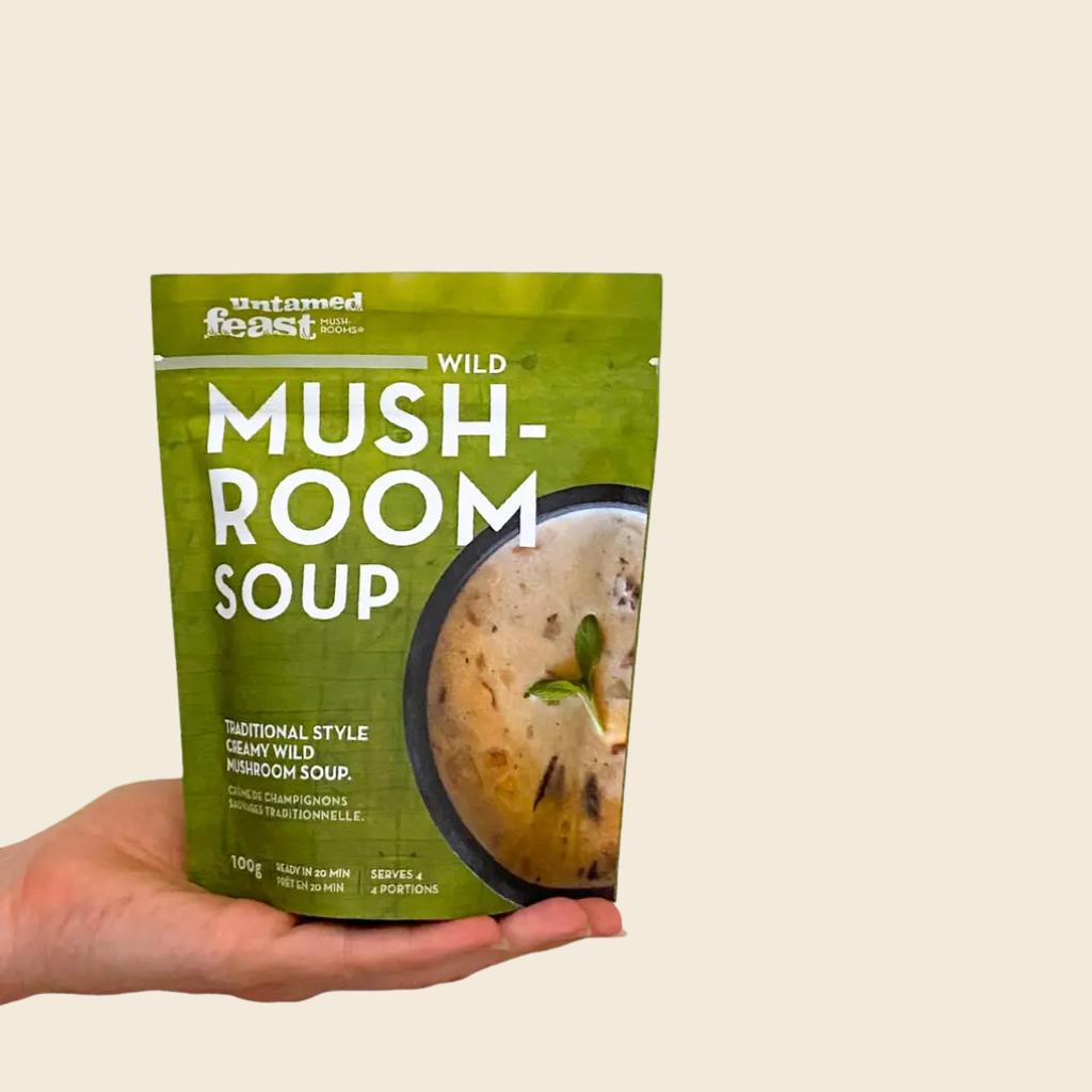 Wild Mushroom Soup