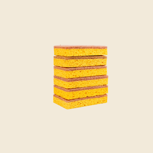 Walnut and Cellulose Scrubber Sponge