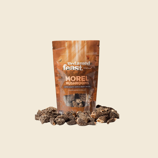Wild Dried Morel Mushrooms