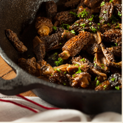 Wild Dried Morel Mushrooms