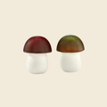 Mushroom Salt & Pepper Shakers
