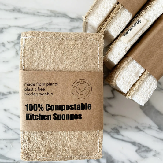 2 Pack Kitchen Sponges
